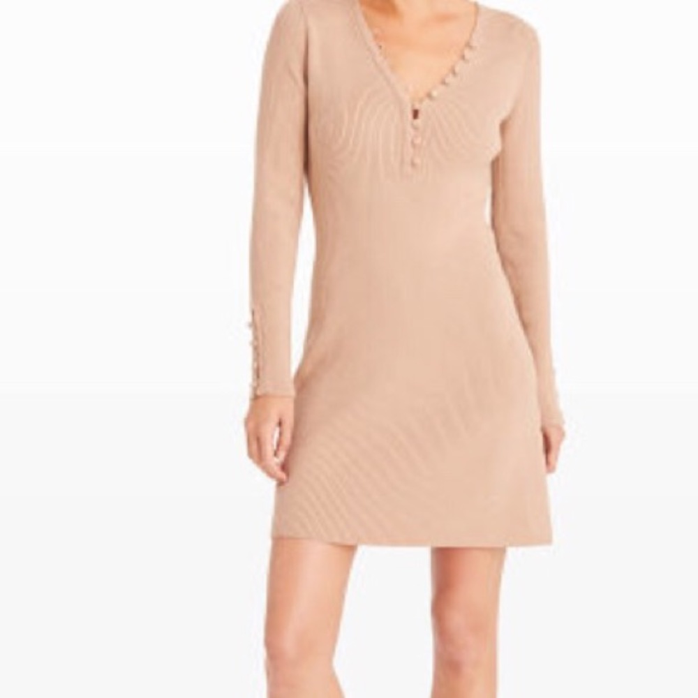 Club Monaco Sweater Dress